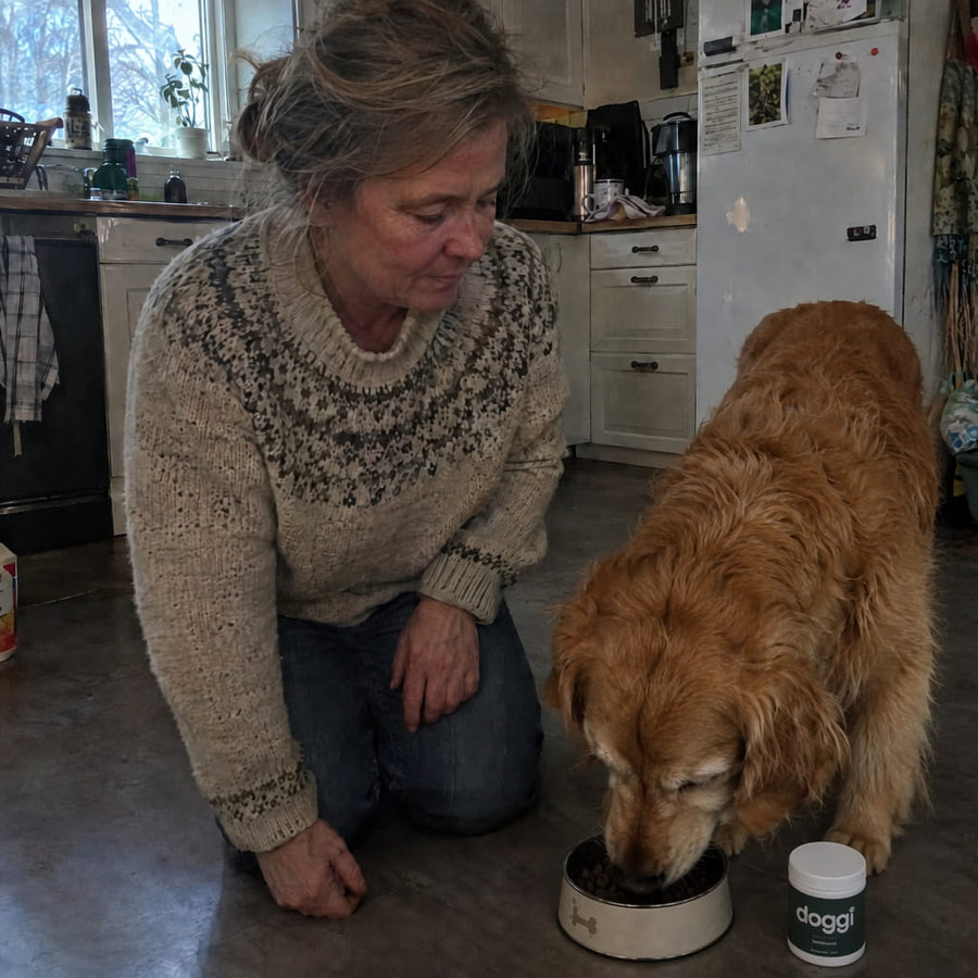 Doggi Leddformel