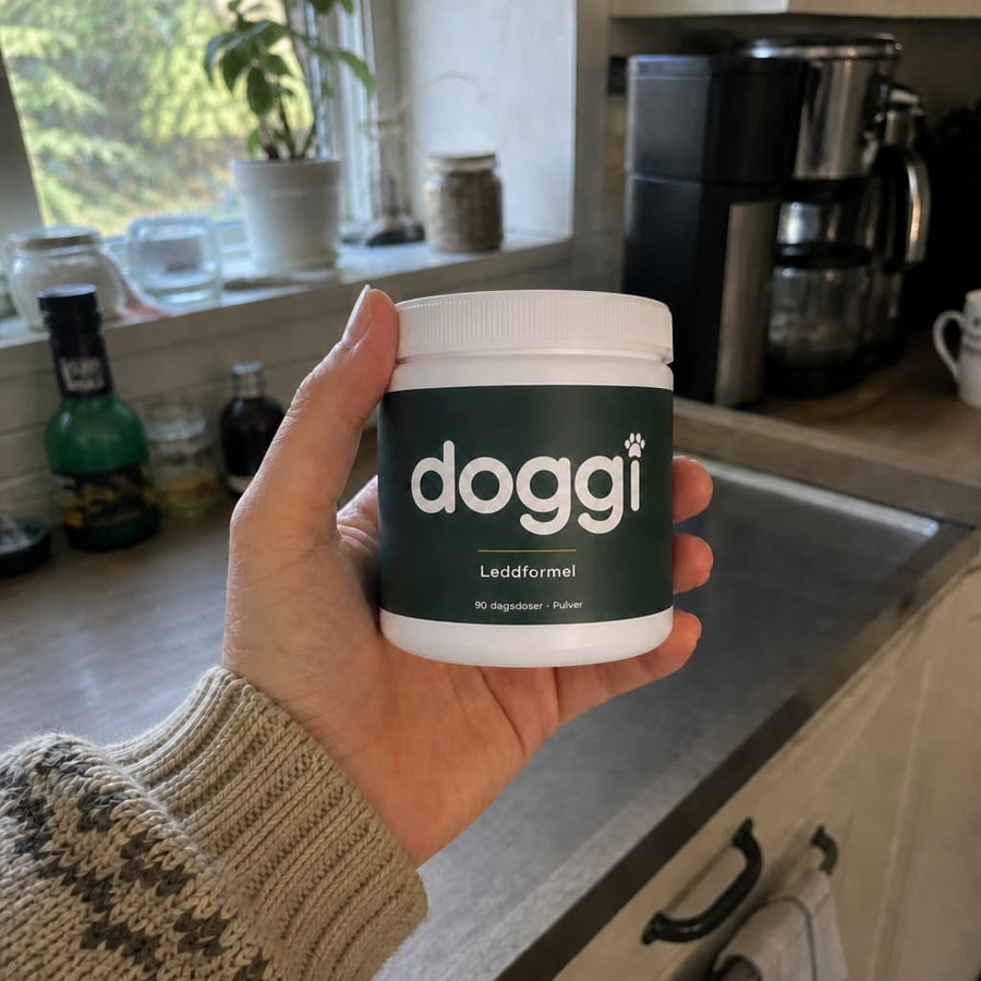 Doggi Leddformel